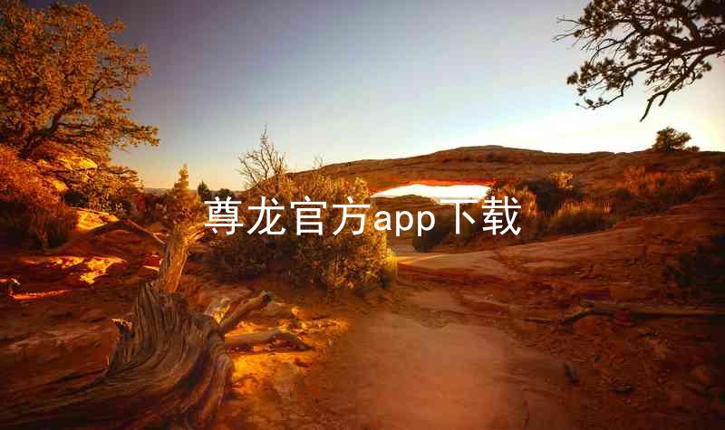尊龙官方app下载